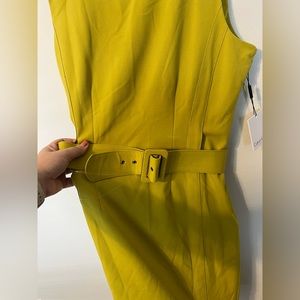 Calvin Klein belted aloe color dress. New with tags. Never worn. Size 12